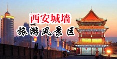 日本小骚屄乱伦爽歪歪中国陕西-西安城墙旅游风景区