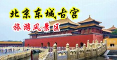鸡巴网站中国北京-东城古宫旅游风景区