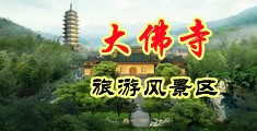 大逼毛中国浙江-新昌大佛寺旅游风景区
